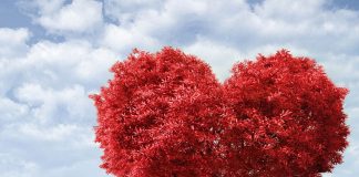 Existe Amor Verdadeiro?Alma gêmea, príncipe encantado, amor verdadeiro. Isso existe?