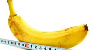 Um Pênis Pode Ser Grande Demais Para Uma Vagina? Um Pênis Pode Ser Grande Demais Para Uma Vagina