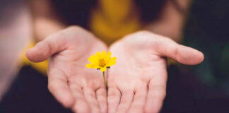 Algumas Personalidades São Mais Propensas A Perdoar Do Que Outras Algumas Personalidades São Mais Propensas A Perdoar Do Que Outras